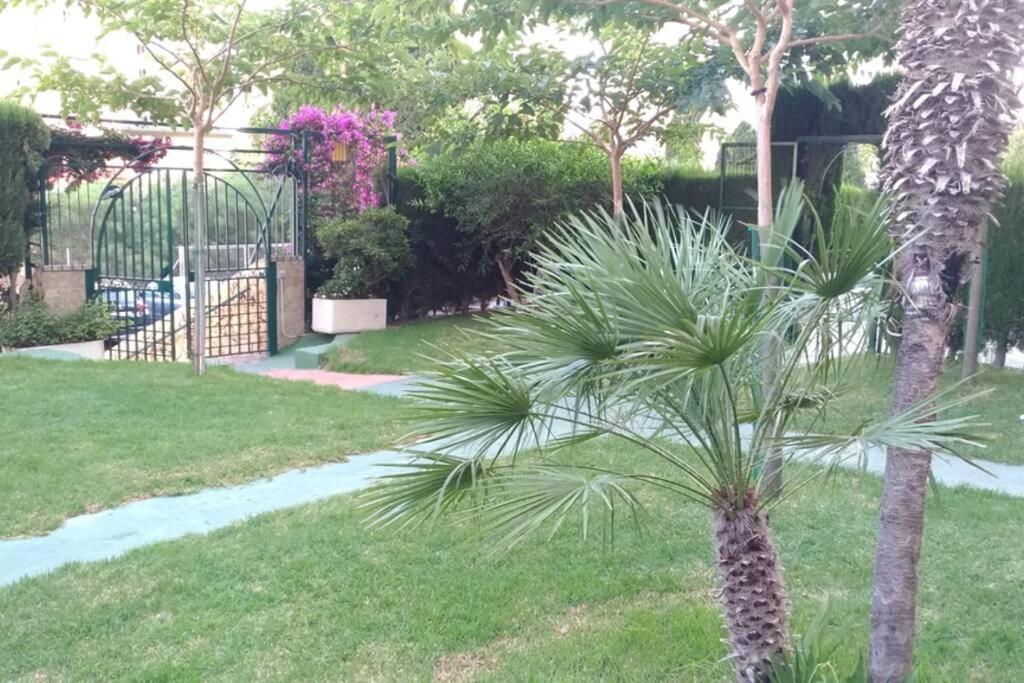 Apartamento Moderno Benidorm Exterior foto